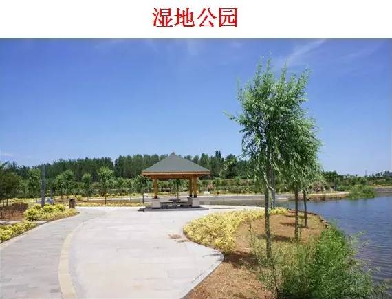 我公司设计的山东省联合农药泰安基地花园式厂区(图15)