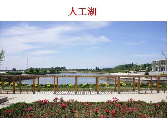 我公司设计的山东省联合农药泰安基地花园式厂区(图14)